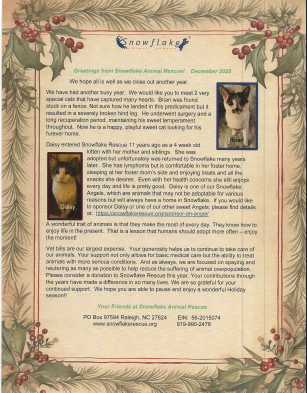 Christmas Newsletter